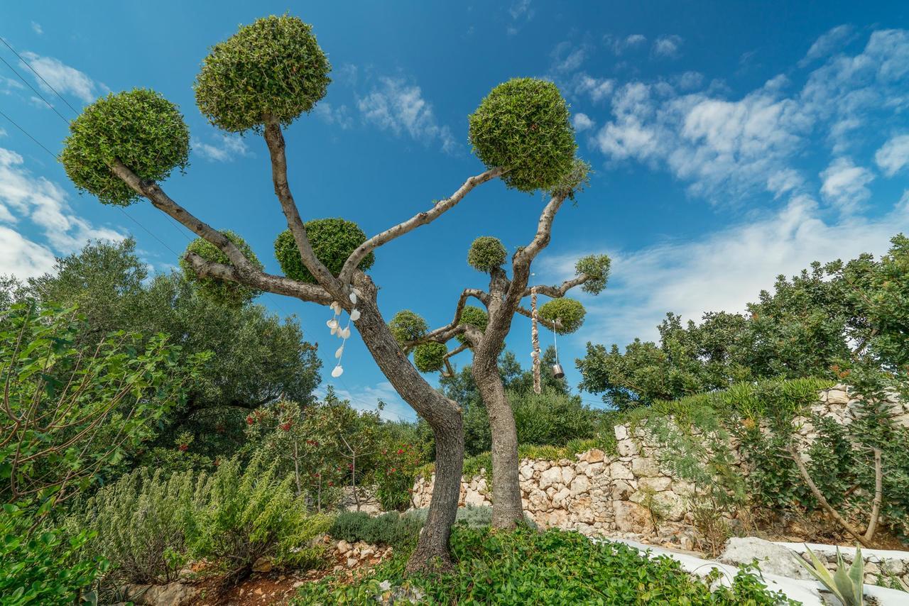 Askos Stone Villa - The Island Panorama Ájosz Nikólaosz Kültér fotó